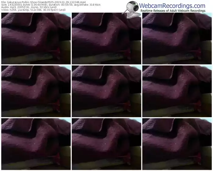 sakuralivejp-kaede0505-webcam-show-01_29_2019-13_22_48