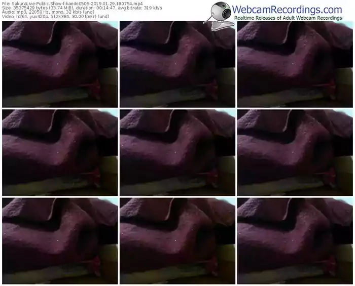 sakuralivejp-kaede0505-webcam-show-01_29_2019-18_07_54