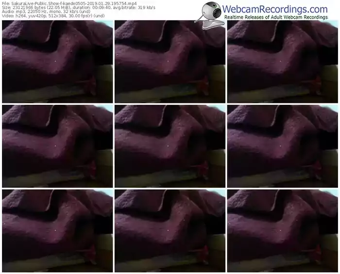 sakuralivejp-kaede0505-webcam-show-01_29_2019-19_57_54