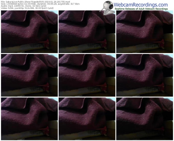 sakuralivejp-kaede0505-webcam-show-01_29_2019-20_17_55