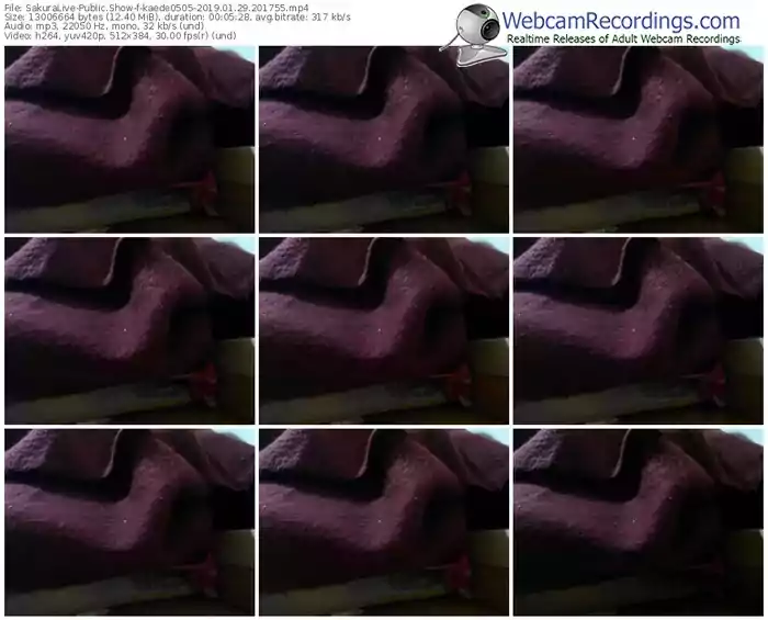 sakuralivejp-kaede0505-webcam-show-01_29_2019-20_17_55