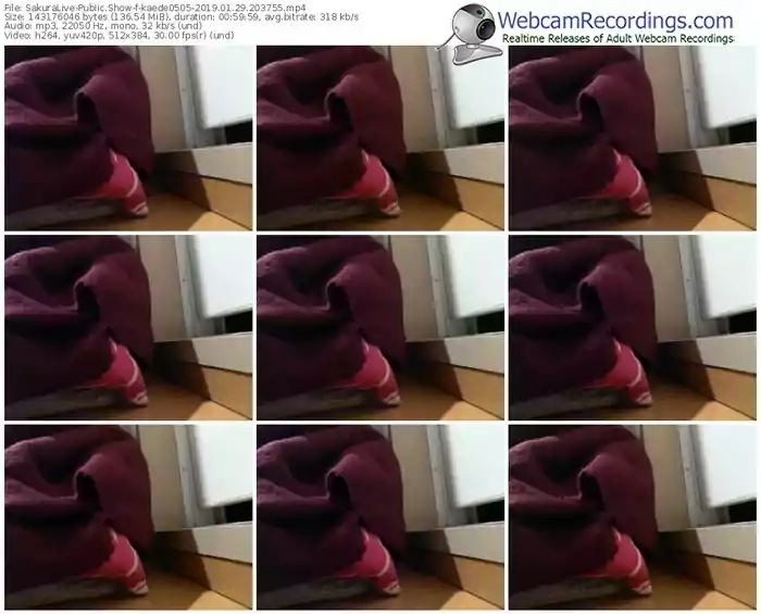 sakuralivejp-kaede0505-webcam-show-01_29_2019-20_37_55