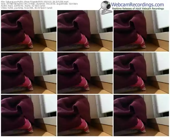 sakuralivejp-kaede0505-webcam-show-01_29_2019-21_52_56