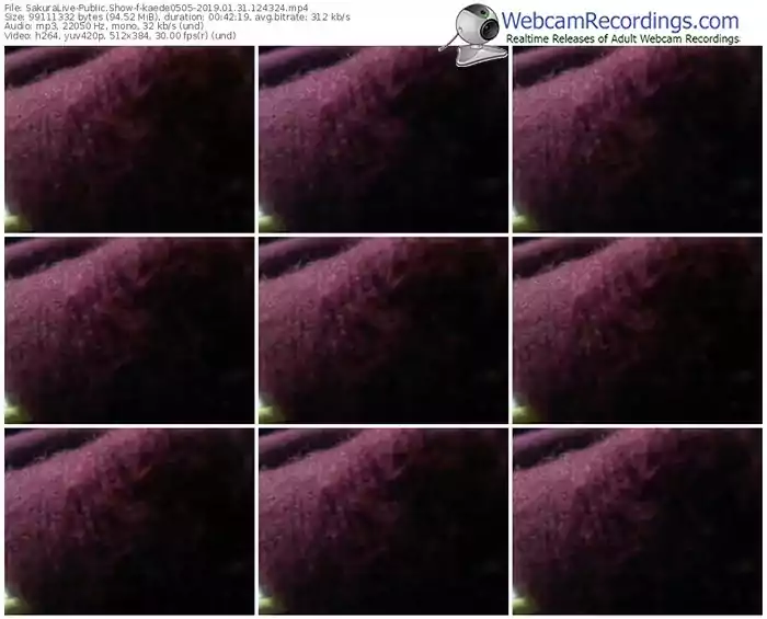 sakuralivejp-kaede0505-webcam-show-01_31_2019-12_43_24