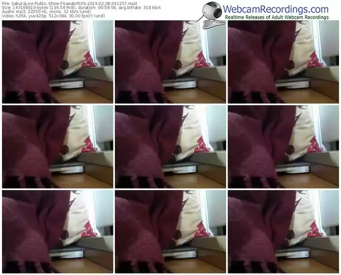 sakuralivejp-kaede0505-webcam-show-02_08_2019-04_22_57