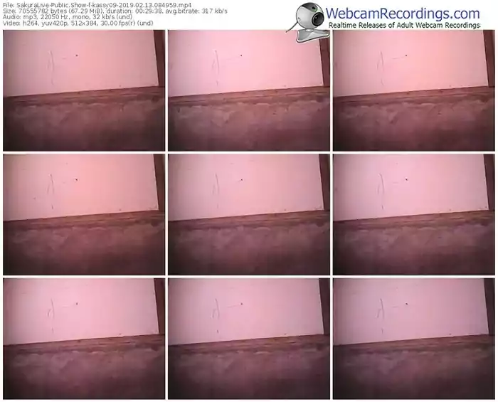 sakuralivejp-kassy09-webcam-show-02_13_2019-08_49_59