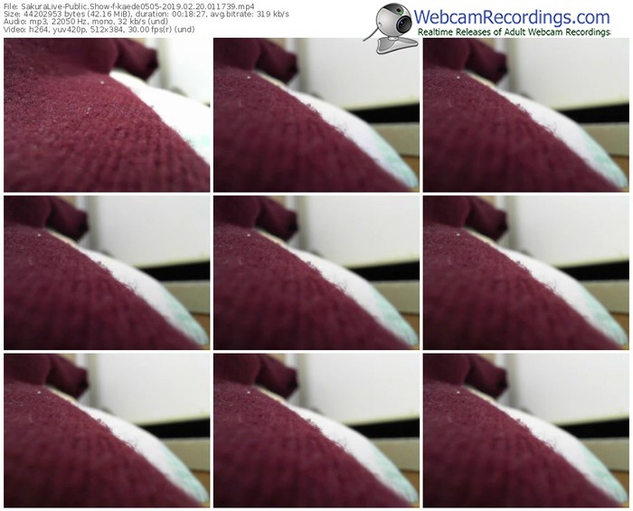 sakuralivejp-kaede0505-webcam-show-02_20_2019-01_17_39