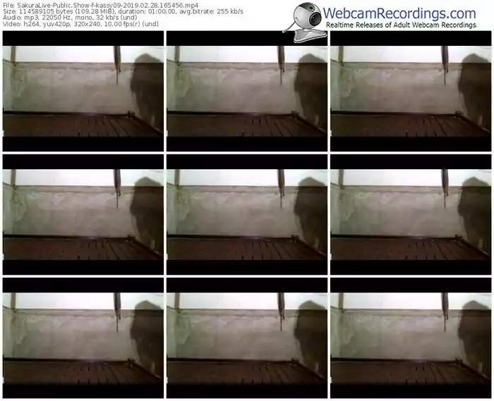 sakuralivejp-kassy09-webcam-show-02_28_2019-16_54_56