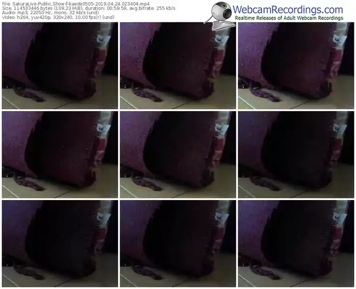 sakuralivejp-kaede0505-webcam-show-04_24_2019-02_34_04