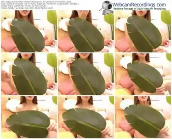 sakuralivejp-rinkaxxx100-webcam-show-04_25_2019-05_54_21