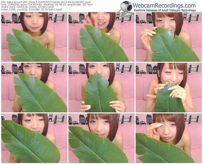 sakuralivejp-chinpokochaaan-webcam-show-04_29_2019-06_59_57