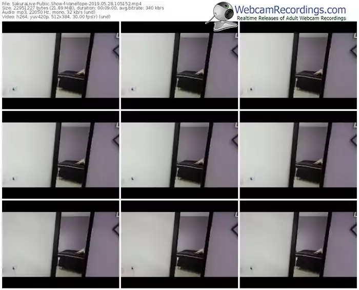 sakuralivejp-vanellope-webcam-show-05_28_2019-10_51_52