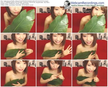 sakuralivejp-chinpokochaaan-webcam-show-05_29_2019-07_27_13