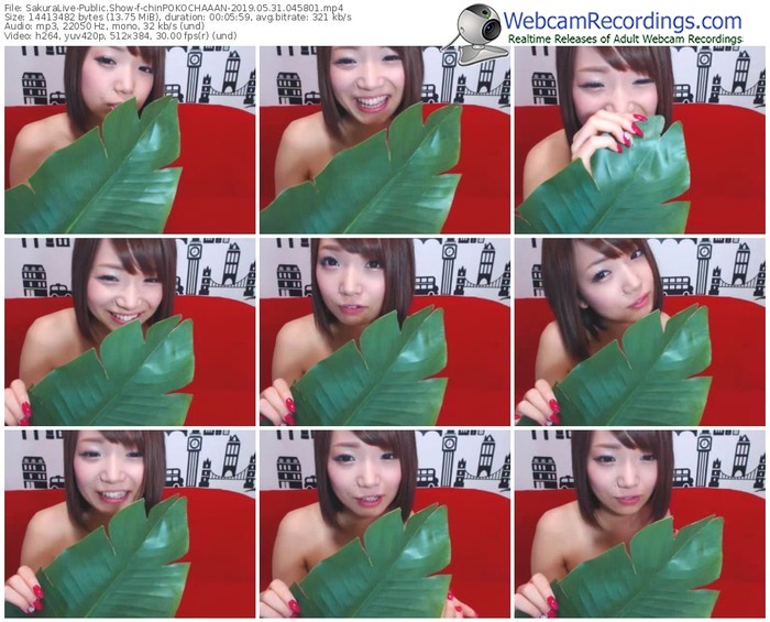 sakuralivejp-chinpokochaaan-webcam-show-05_31_2019-04_58_01