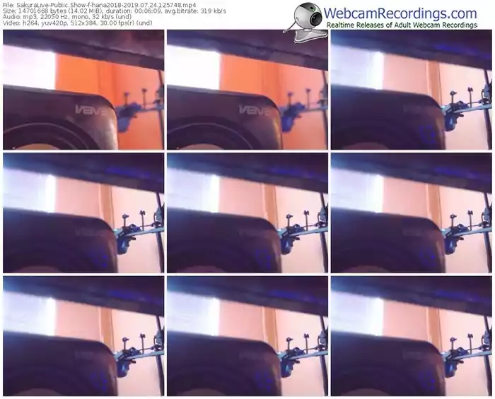 sakuralivejp-hana2018-webcam-show-07_24_2019-12_57_48