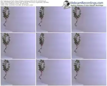 sakuralivejp-katalynavargas-webcam-show-07_31_2019-09_05_26