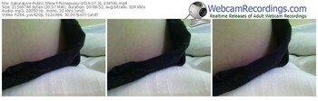 sakuralivejp-riinapussy-webcam-show-07_31_2019-23_45_41