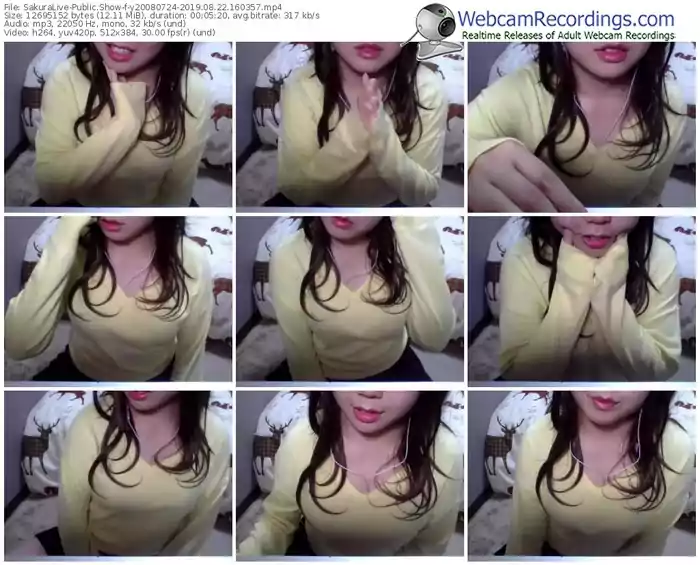 sakuralivejp-y20080724-webcam-show-08_22_2019-16_03_57