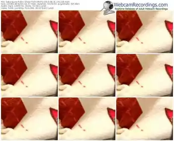 sakuralivejp-sayurichs-webcam-show-08_31_2019-19_12_28