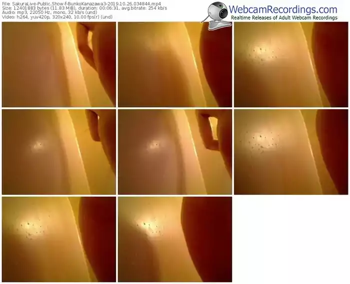 sakuralivejp-bunkokanazawa3-webcam-show-10_26_2019-03_48_44