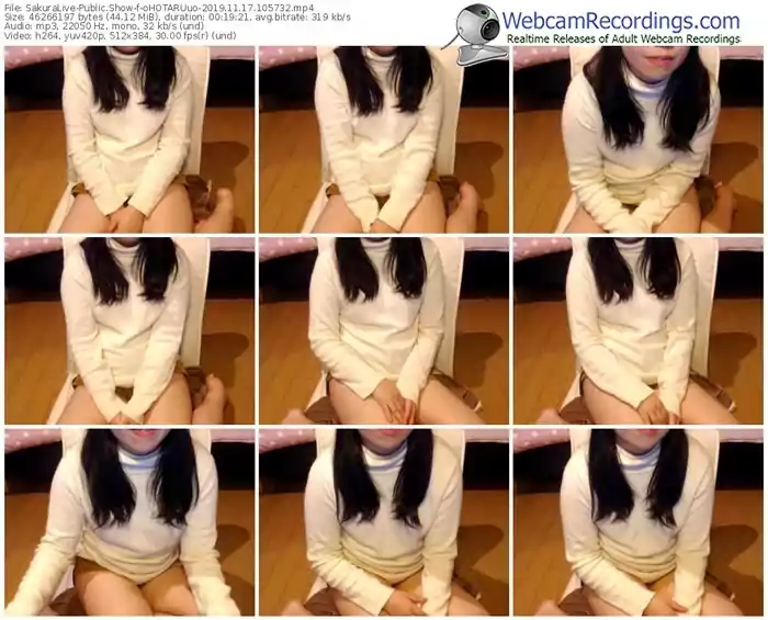 sakuralivejp-ohotaruuo-webcam-show-11_17_2019-10_57_32
