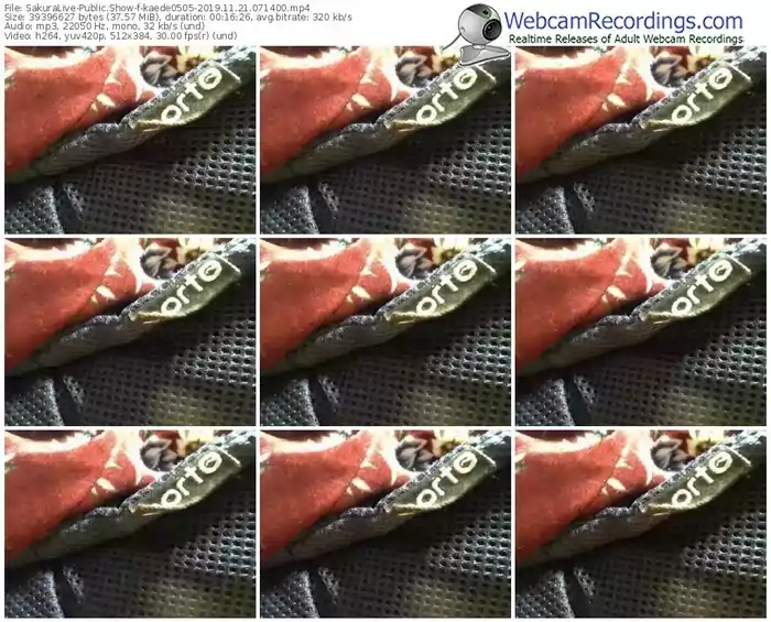 sakuralivejp-kaede0505-webcam-show-11_21_2019-07_14_00
