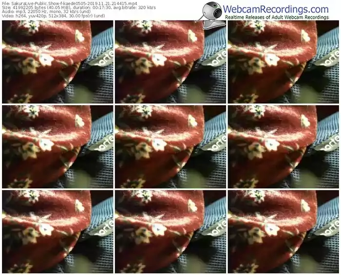sakuralivejp-kaede0505-webcam-show-11_21_2019-21_44_15