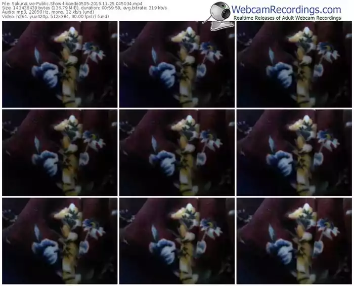 sakuralivejp-kaede0505-webcam-show-11_25_2019-04_50_34