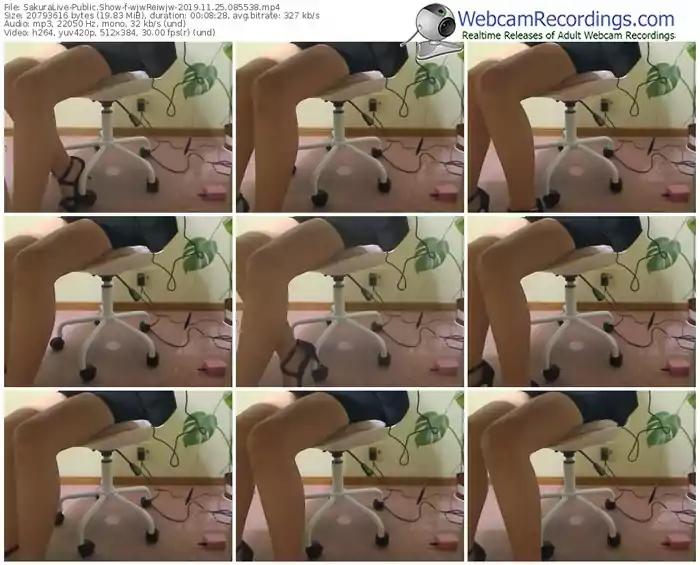 sakuralivejp-wjwreiwjw-webcam-show-11_25_2019-08_55_38