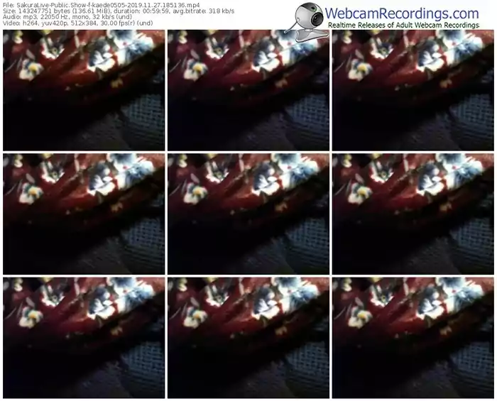 sakuralivejp-kaede0505-webcam-show-11_27_2019-18_51_36