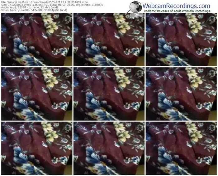 sakuralivejp-kaede0505-webcam-show-11_28_2019-00_46_39