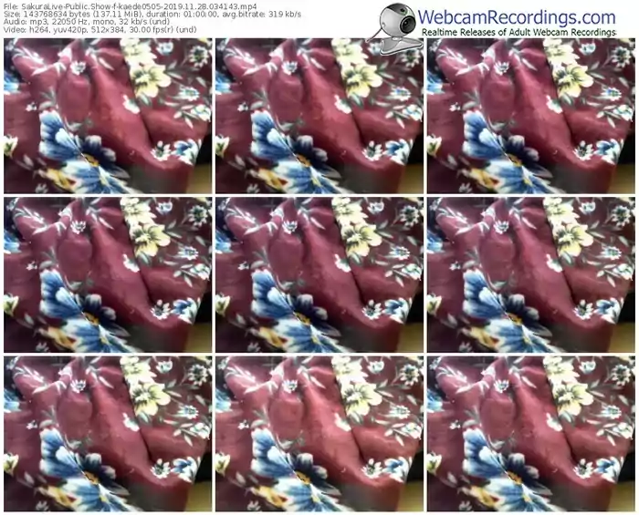 sakuralivejp-kaede0505-webcam-show-11_28_2019-03_41_43