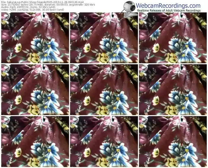 sakuralivejp-kaede0505-webcam-show-11_28_2019-09_01_49