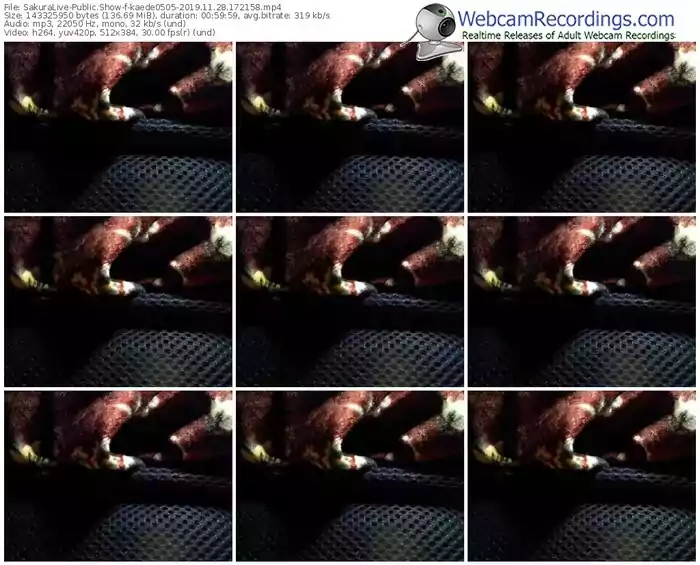 sakuralivejp-kaede0505-webcam-show-11_28_2019-17_21_58