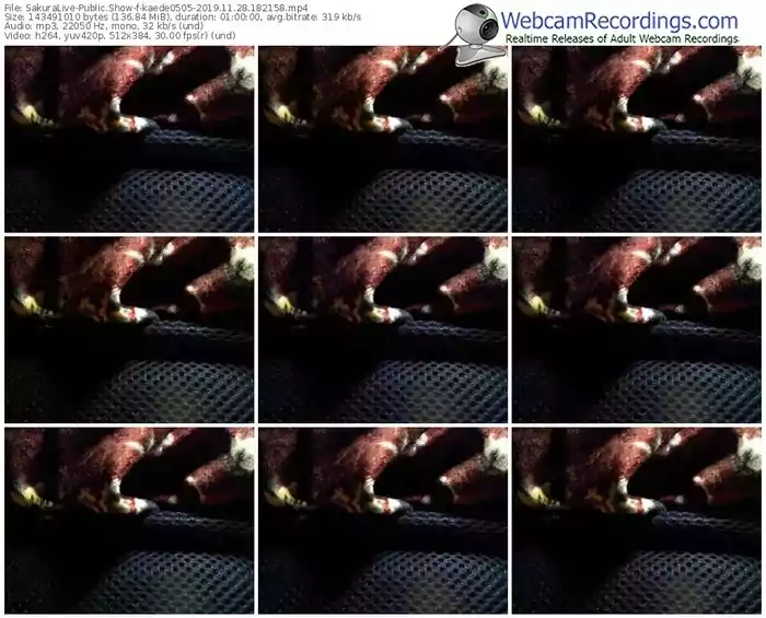 sakuralivejp-kaede0505-webcam-show-11_28_2019-18_21_58