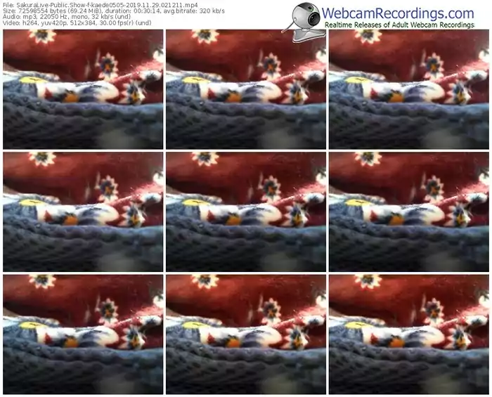 sakuralivejp-kaede0505-webcam-show-11_29_2019-02_12_11