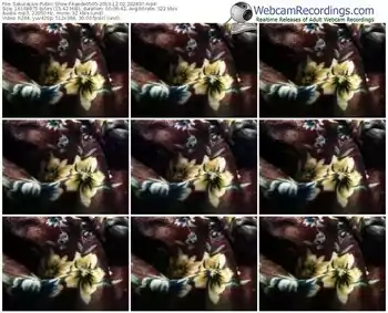 sakuralivejp-kaede0505-webcam-show-12_02_2019-20_28_37