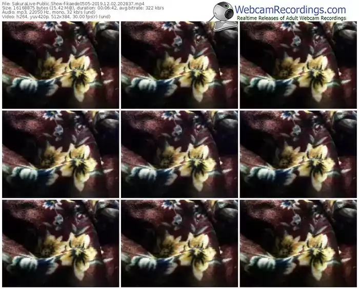 sakuralivejp-kaede0505-webcam-show-12_02_2019-20_28_37