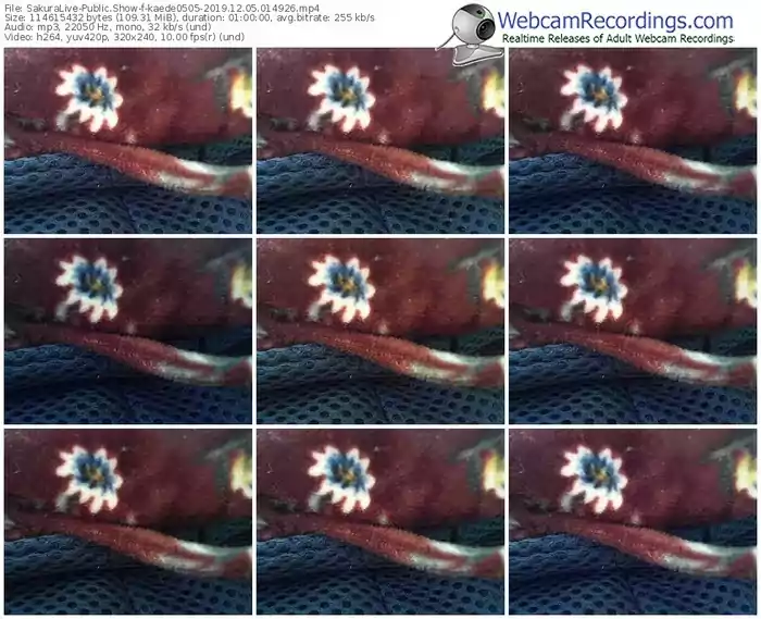 sakuralivejp-kaede0505-webcam-show-12_05_2019-01_49_26
