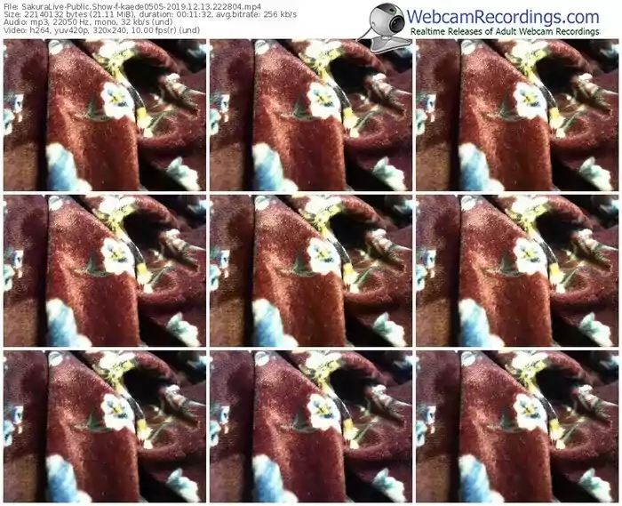 sakuralivejp-kaede0505-webcam-show-12_13_2019-22_28_04