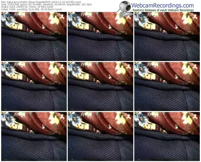 sakuralivejp-kaede0505-webcam-show-12_15_2019-22_23_51