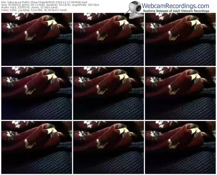 sakuralivejp-kaede0505-webcam-show-12_17_2019-06_49_26