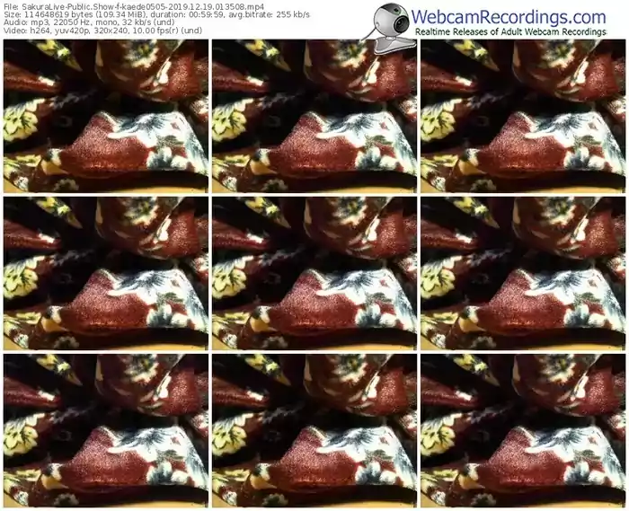 sakuralivejp-kaede0505-webcam-show-12_19_2019-01_35_08