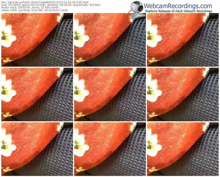 sakuralivejp-kaede0505-webcam-show-12_19_2019-23_15_30