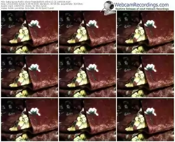 sakuralivejp-kaede0505-webcam-show-12_21_2019-18_56_14