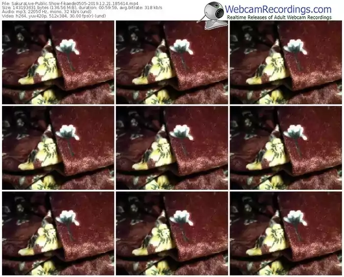 sakuralivejp-kaede0505-webcam-show-12_21_2019-18_56_14