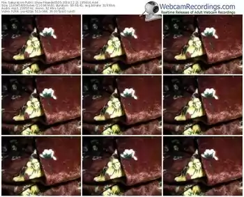 sakuralivejp-kaede0505-webcam-show-12_21_2019-19_56_14