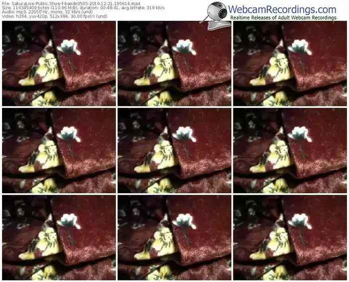 sakuralivejp-kaede0505-webcam-show-12_21_2019-19_56_14