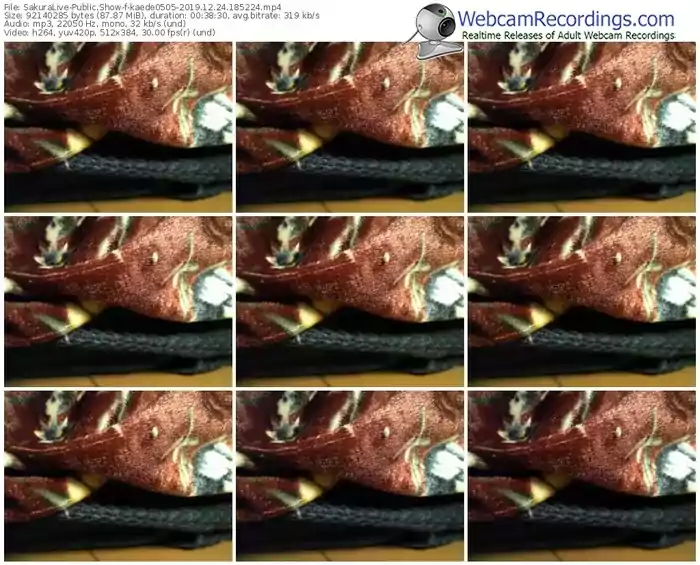 sakuralivejp-kaede0505-webcam-show-12_24_2019-18_52_24