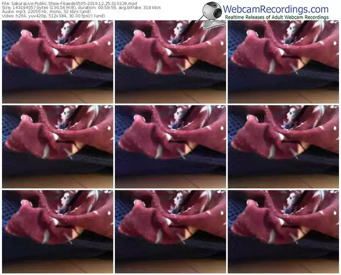 sakuralivejp-kaede0505-webcam-show-12_25_2019-01_02_29